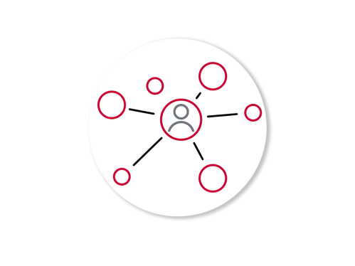 Red and black vector of network